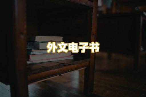 外文电子书